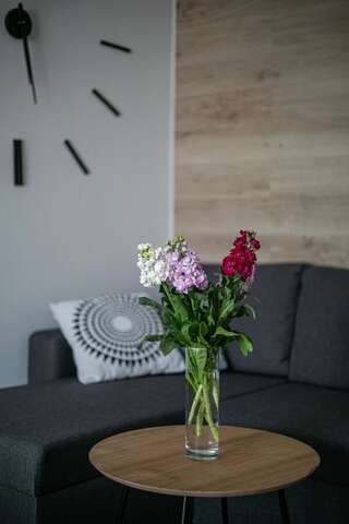 Апартаменты Favorite Family Flat Белая Церковь Апартаменты с 1 спальней-3