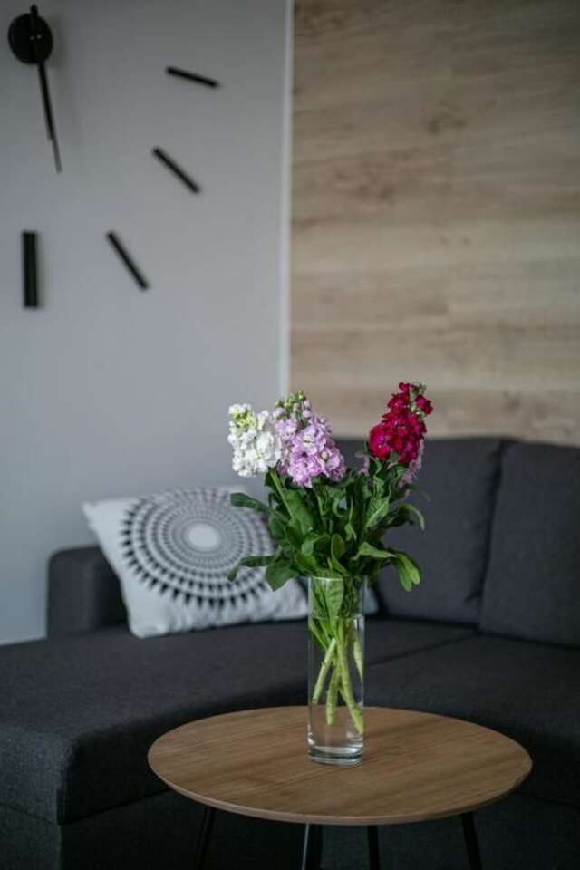 Апартаменты Favorite Family Flat Белая Церковь-36